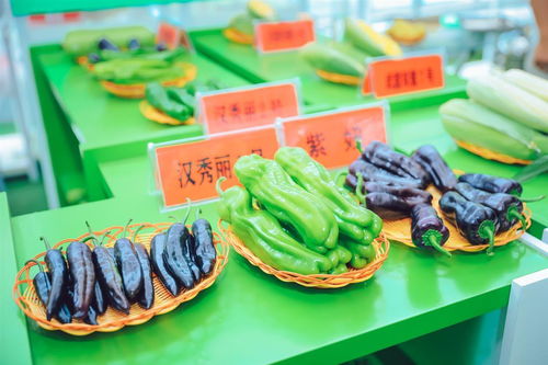 3000余種農作物亮相武漢種博會，端午假期邀市民共赴農業盛宴